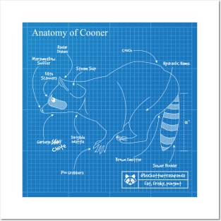 Anatomy of a Cooner Posters and Art